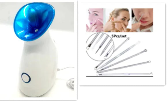 3-in-1 Nano Ionic Facial Steamer Velura